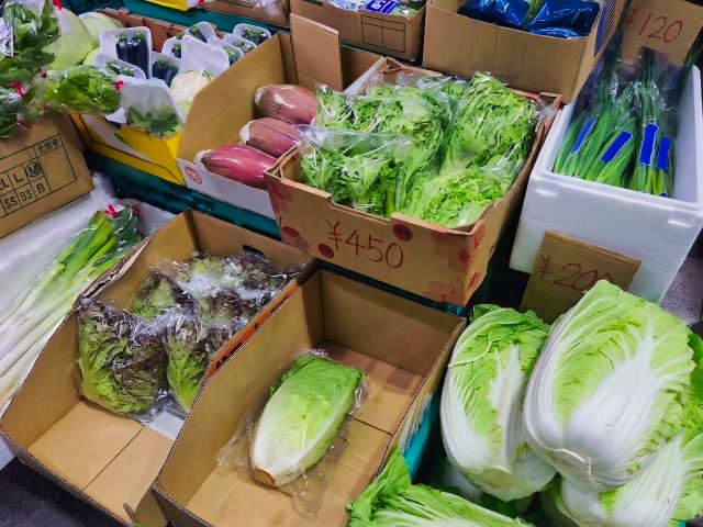 お買い物・外出のイメージ